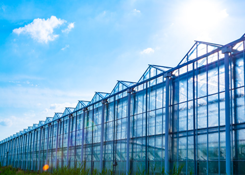 glastuinbouw kassen